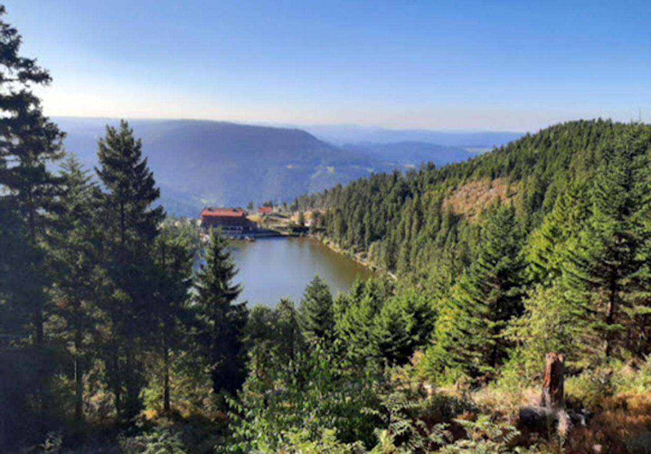 Appartamento Adlerhorst Baiersbronn Esterno foto
